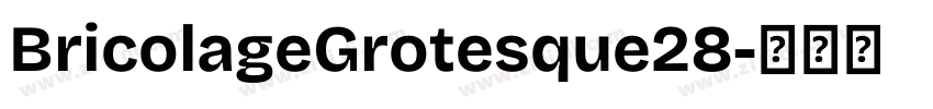 BricolageGrotesque28字体转换 BricolageGrotesque28字体转换