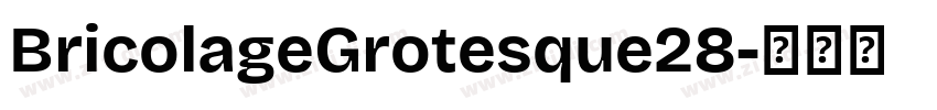 BricolageGrotesque28字体转换 BricolageGrotesque28字体转换