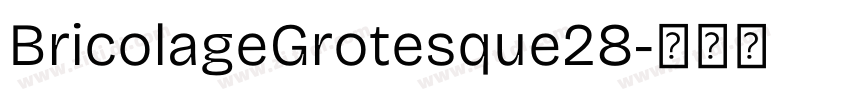 BricolageGrotesque28字体转换 BricolageGrotesque28字体转换