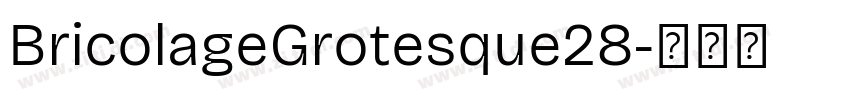 BricolageGrotesque28字体转换 BricolageGrotesque28字体转换