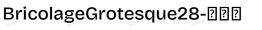 BricolageGrotesque28字体转换 BricolageGrotesque28字体转换