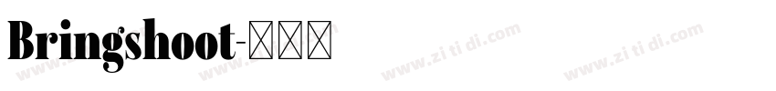 Bringshoot字体转换
