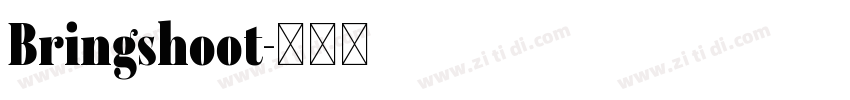 Bringshoot字体转换