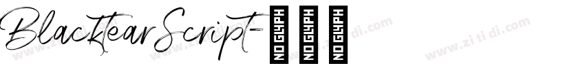 BlacktearScript字体转换 BlacktearScript字体转换