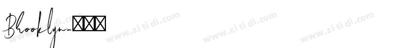 Brooklyn字体转换