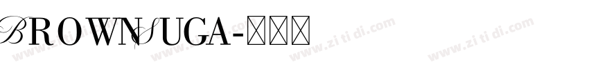 BrownSuga字体转换