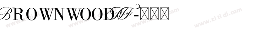 BrownwoodNF字体转换