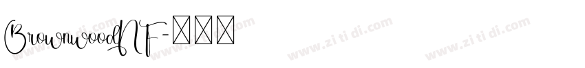 BrownwoodNF字体转换