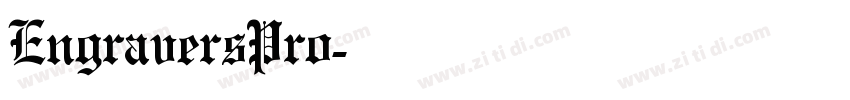 EngraversPro字体转换 EngraversPro字体转换