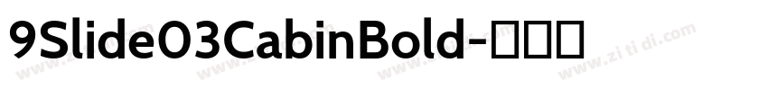 9Slide03CabinBold字体转换