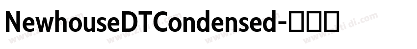 NewhouseDTCondensed字体转换