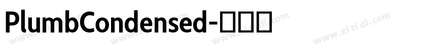 PlumbCondensed字体转换