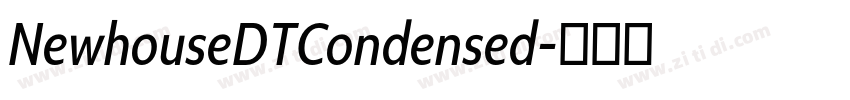 NewhouseDTCondensed字体转换
