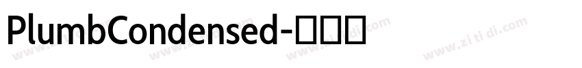 PlumbCondensed字体转换