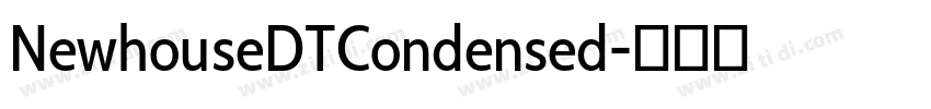 NewhouseDTCondensed字体转换