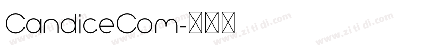 CandiceCom字体转换