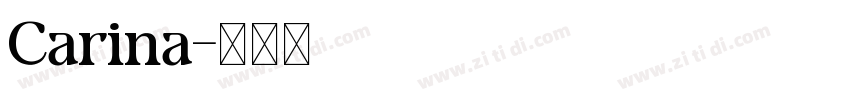 Carina字体转换