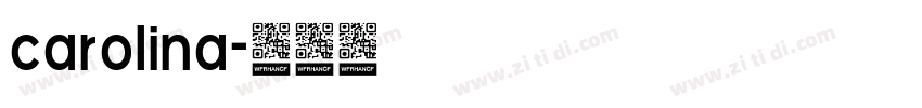 carolina字体转换