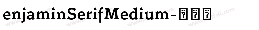 enjaminSerifMedium字体转换