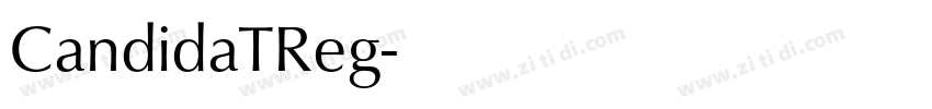 CandidaTReg字体转换