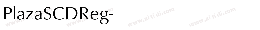 PlazaSCDReg字体转换