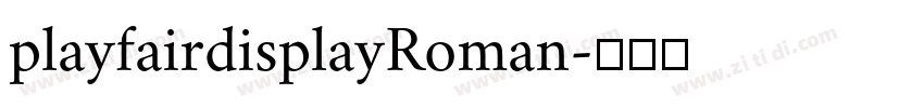 playfairdisplayRoman字体转换