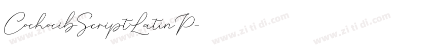 CochocibScriptLatinP字体转换