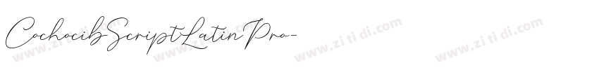 CochocibScriptLatinPro字体转换