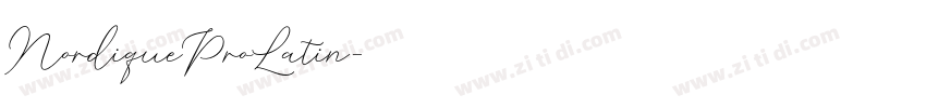 NordiqueProLatin字体转换