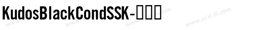 KudosBlackCondSSK字体转换