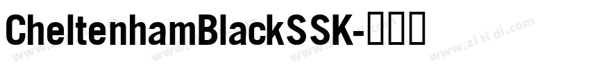 CheltenhamBlackSSK字体转换