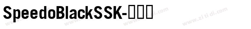 SpeedoBlackSSK字体转换