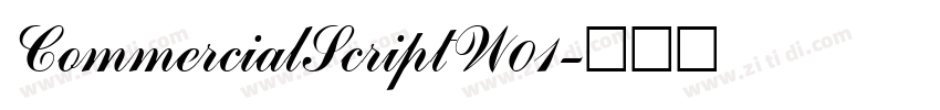 CommercialScriptW01字体转换