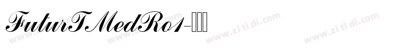 FuturTMedRo1字体转换