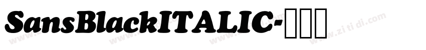 SansBlackITALIC字体转换 SansBlackITALIC字体转换