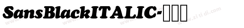SansBlackITALIC字体转换 SansBlackITALIC字体转换