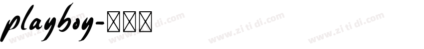 playboy字体转换