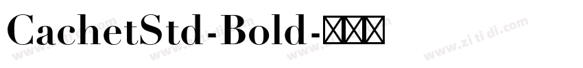 CachetStd-Bold字体转换