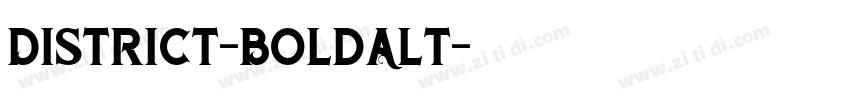 District-BoldAlt字体转换 District-BoldAlt字体转换