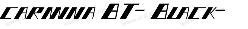 carminaBT-Black字体转换 carminaBT-Black字体转换
