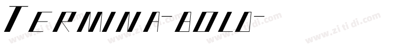 Termina-bold字体转换