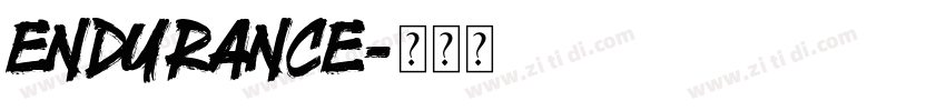 Endurance字体转换 Endurance字体转换
