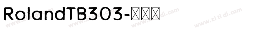 RolandTB303字体转换