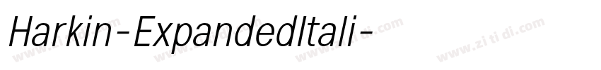 Harkin-ExpandedItali字体转换