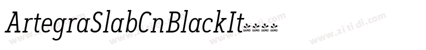 ArtegraSlabCnBlackIt字体转换