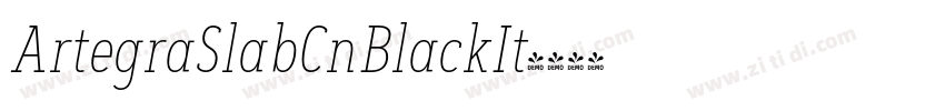ArtegraSlabCnBlackIt字体转换