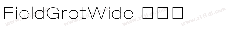 FieldGrotWide字体转换