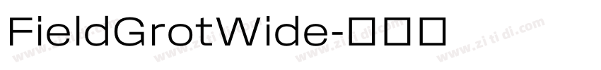 FieldGrotWide字体转换