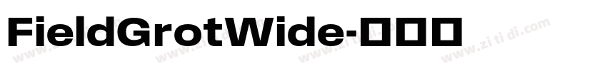 FieldGrotWide字体转换