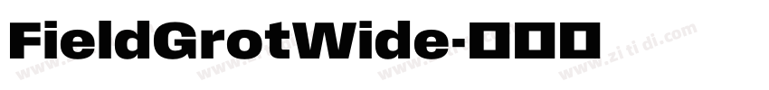 FieldGrotWide字体转换